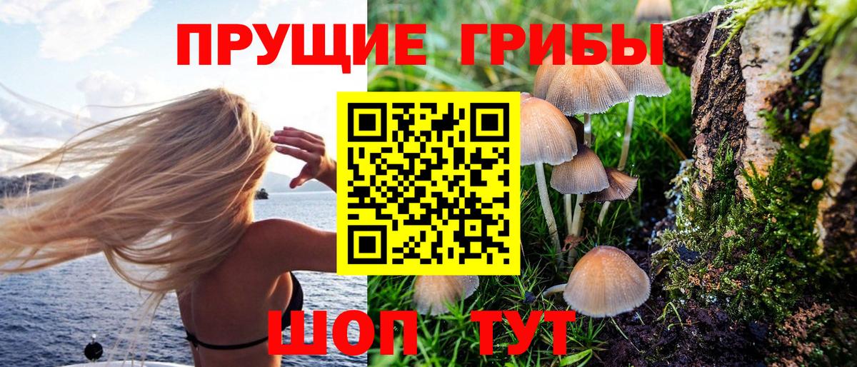 Галлюциногенные грибы Cubensis  Галлюциногенные грибы мухоморы  Выкса  Вход с VPN 
